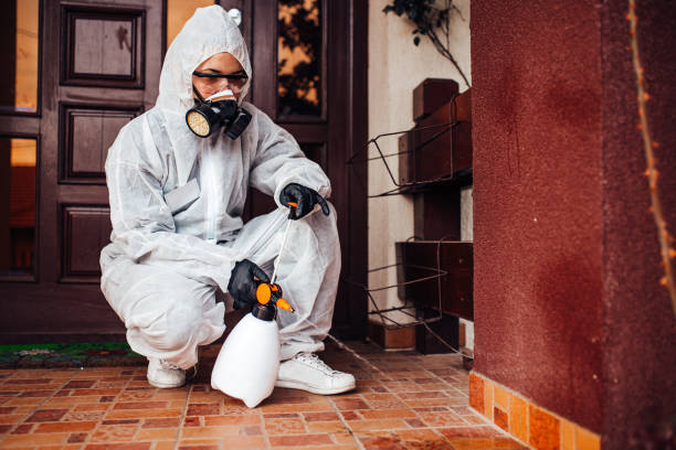 Reliable Cockroach Control contractor in Hailey, ID by Nex Pest Control